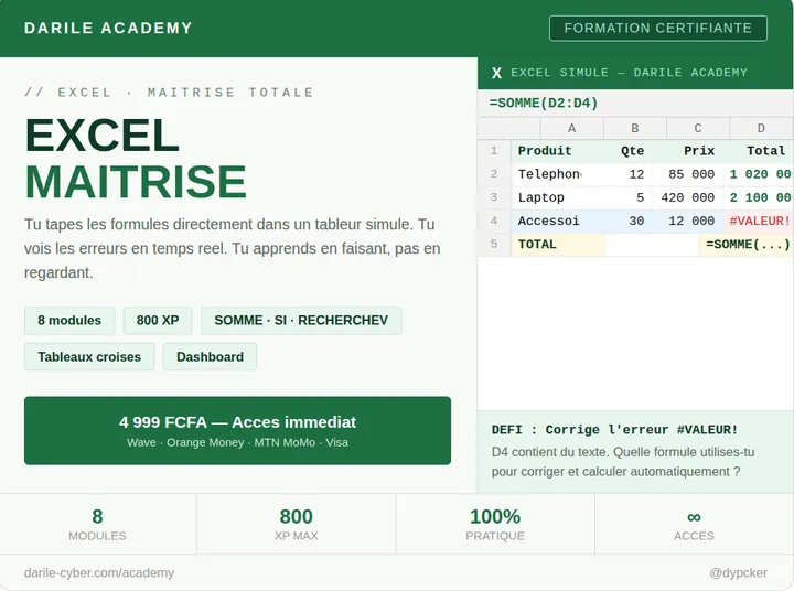 Excel Maîtrise — Darile Academy