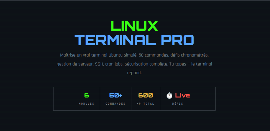 Linux Terminal Pro · Formation Interactive